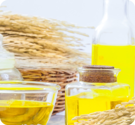 Khám phá lợi ích sức khỏe của axit béo Omega-3 và Omega-6 trong dầu ăn